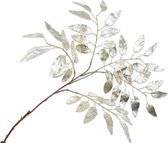 Silk-ka Kunstbloem-Zijde Bloem Eucalyptus Tak Zilver 106 cm