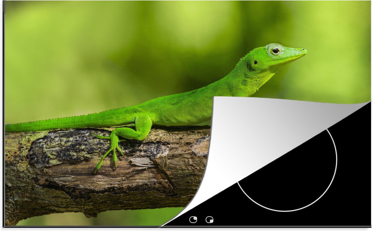 KitchenYeah® Inductie beschermer 76x51.5 cm - Groene gekko op een boomstronk - Kookplaataccessoires - Afdekplaat voor kookplaat - Inductiebeschermer - Inductiemat - Inductieplaat mat