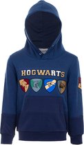 Harry Potter Hoodie - Hogwarts - Maat 116