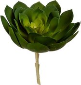 kunstplant Echeveria 19 x 17 cm groen