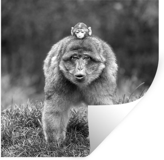 Muurstickers - Sticker Folie - Een aap met een baby aap op zijn rug - zwart wit - 120x120 cm - Plakfolie - Muurstickers Kinderkamer - Zelfklevend Behang XXL - Zelfklevend behangpapier - Stickerfolie