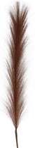 pluim tak 4 x 9 x 80 cm donkerbruin