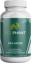 Ecophant Irish Sea Moss Gummies - Rauw Biologisch Wildcrafted Zongedroogd Seamoss-poeder en -gel -  Alkaline Keto Veganistisch - Schildklier & Gezonde huidontgifting - 60 gummies vegan Appel