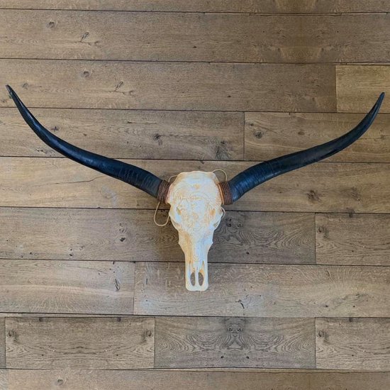 Longhoorn skull 1 meter - Skull - Longhorn - Longhoorn - Skull - Dierenhoofd - Wanddecoratie