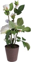 Ibergarden Kunstplant Roos 41 Cm Groen/bruin/wit