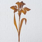 Tuinbeeld - Gazonsteker Tuinsteker bloem narcis tuindecoratie Ecoroest - metaal 65 cm hoog