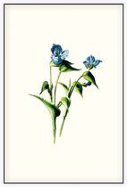 Dagbloem (Commelina White) - Foto op Akoestisch paneel - 150 x 225 cm