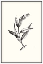 Wilg zwart-wit (Huntingdon Willow) - Foto op Akoestisch paneel - 60 x 90 cm