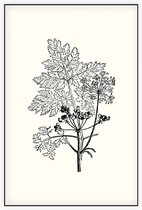 Gevlekte Scheerling zwart-wit (Hemlock) - Foto op Akoestisch paneel - 100 x 150 cm