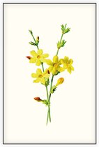 Kamerjasmijn (Winter Jasmine White) - Foto op Akoestisch paneel - 80 x 120 cm