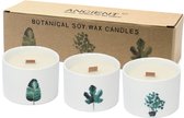 Set Medium Botanische Geurkaarsen - Soy Wax - Moerbeien - Keramiek Potten