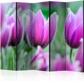 Vouwscherm - Purple spring tulips II [Room Dividers]