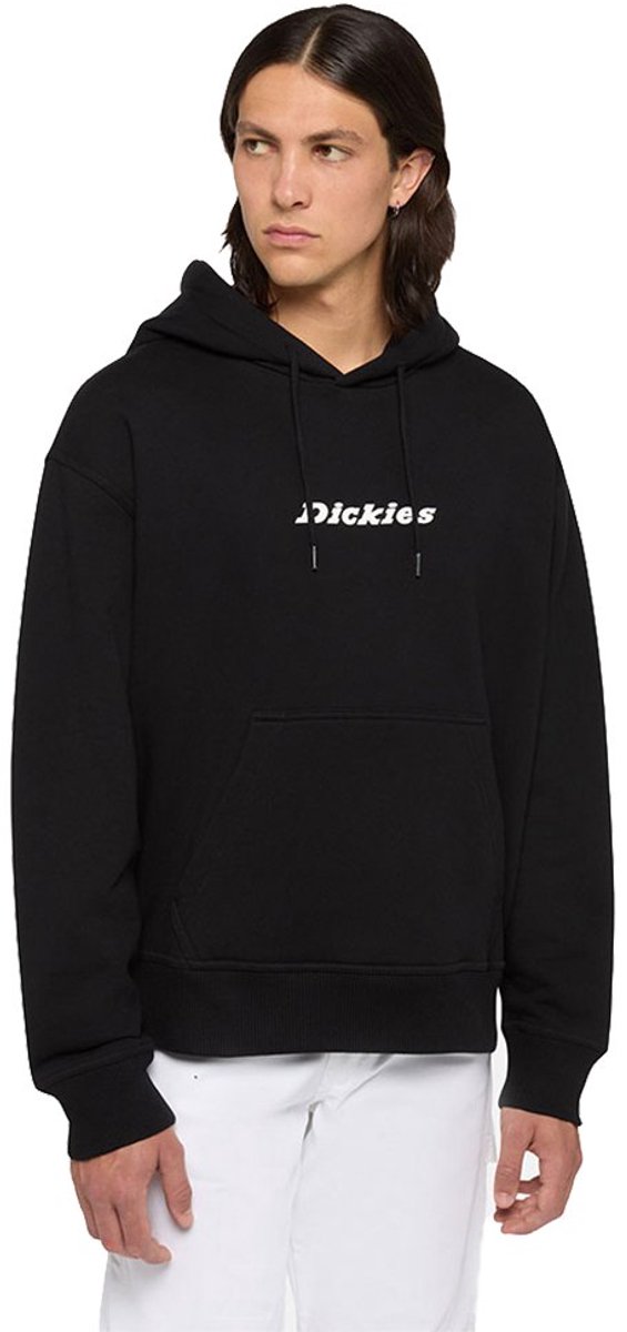 Dickies Enterprise Hoodie L Man Zwart