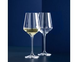 Witte Wijnglazen Set van 2 – 450 ml – Elegant Design met Getrokken Steel – Luxe Drinkglazen voor Witte Wijn