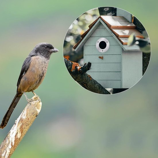 Vogelbescherming Mussen nestkast, 34 mm Vogelbescherming Mussen nestkast, 34 mm