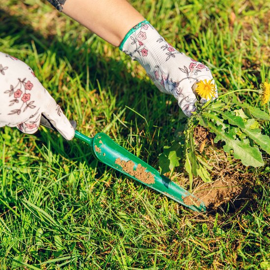 KADAX Tuingereedschapsset, robuuste mini-tuingereedschap, praktische gereedschapsset voor planten, meerdelige tuinset, tuinset voor tuinverzorging (3-delige set Ver. B) van Merkloos	 — afbeelding 4