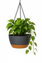 Hangpot met Afwatering - Zwart - Ø 29 cm x H 16,5 cm - Ook Geschikt Als Bloempot - Voor Binnen en Buiten - Waterreservoir