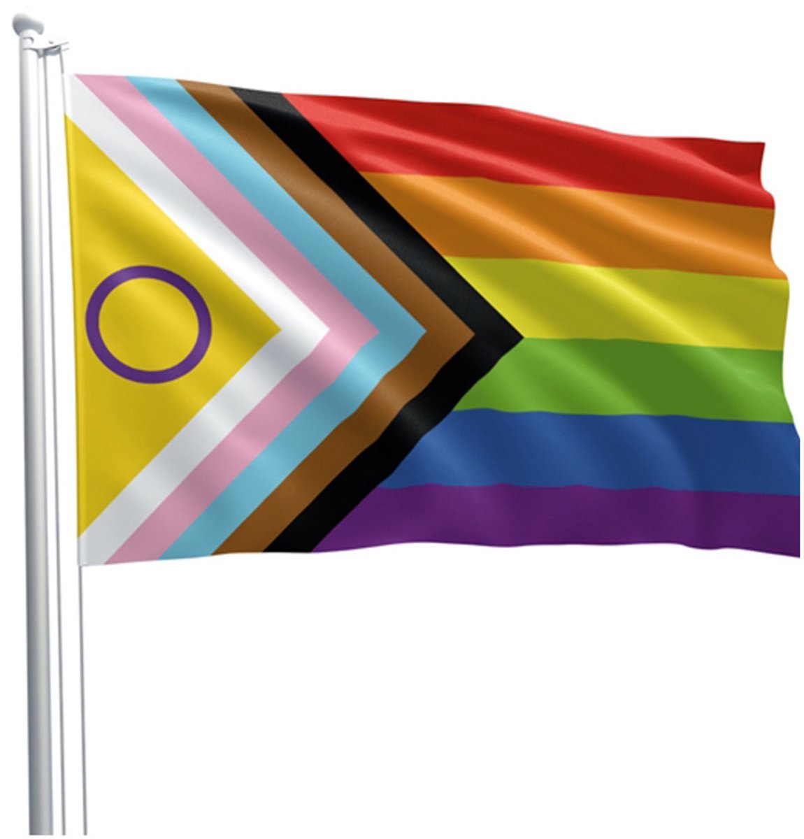 Mister b intersex progress pride flag 90 x 150 cm