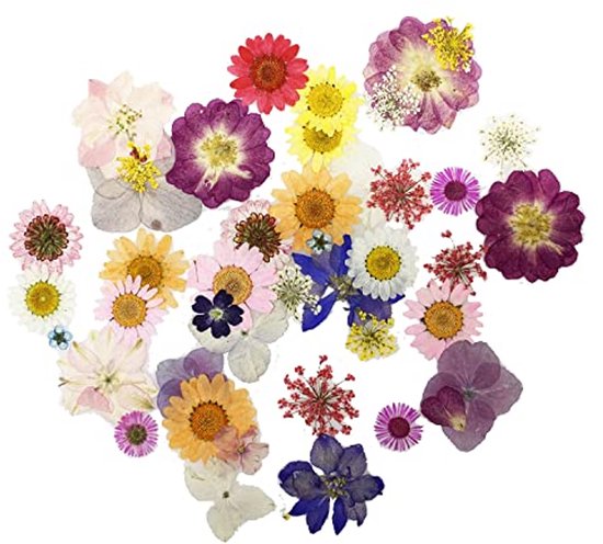 Sieraden met Geperste Bloemen - Nederland - Cadeau en Aromatherapie Artikelen Groothandel