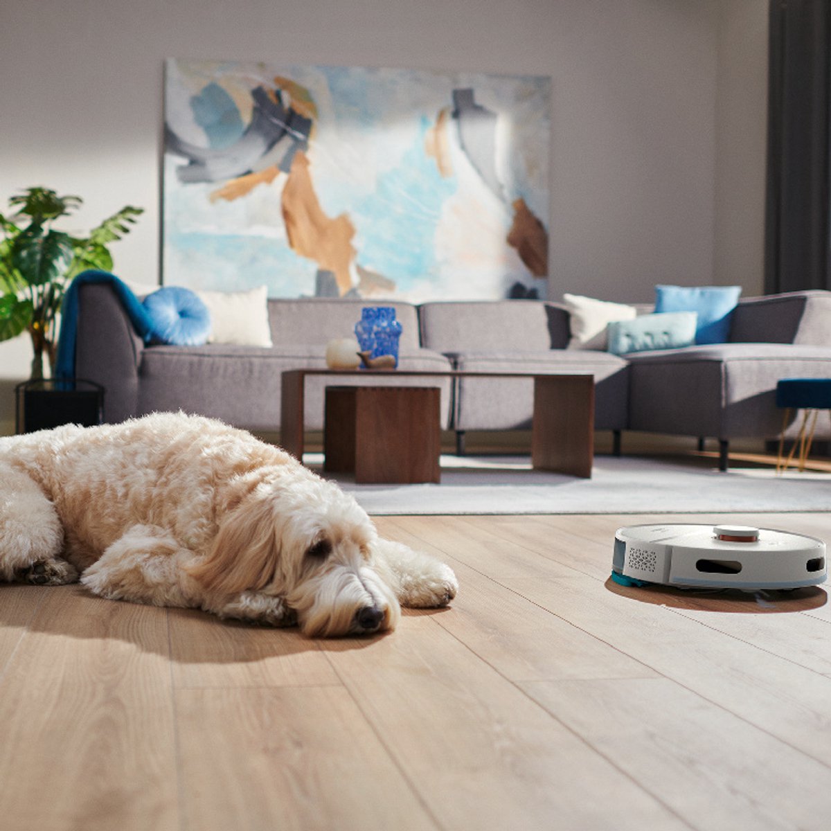 Afbeelding 3 van Philips HomeRun 2000-serie Robotstofzuiger Met Dweilfunctie – XU2000/25 – 6000 Pa Sterke Zuigkracht – Slimme Navigatie