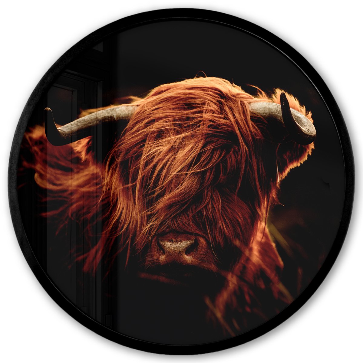 FrameYourWall Poster in lijst Rond - Fotolijst 40x40 cm - Posters - Schotse hooglander - Koe - Hoorns - Portret - Dieren - Ronde posterlijst zwart - Decoratie - Wanddecoratie woonkamer - Muurdecoratie slaapkamer Schotse hooglander - Portret