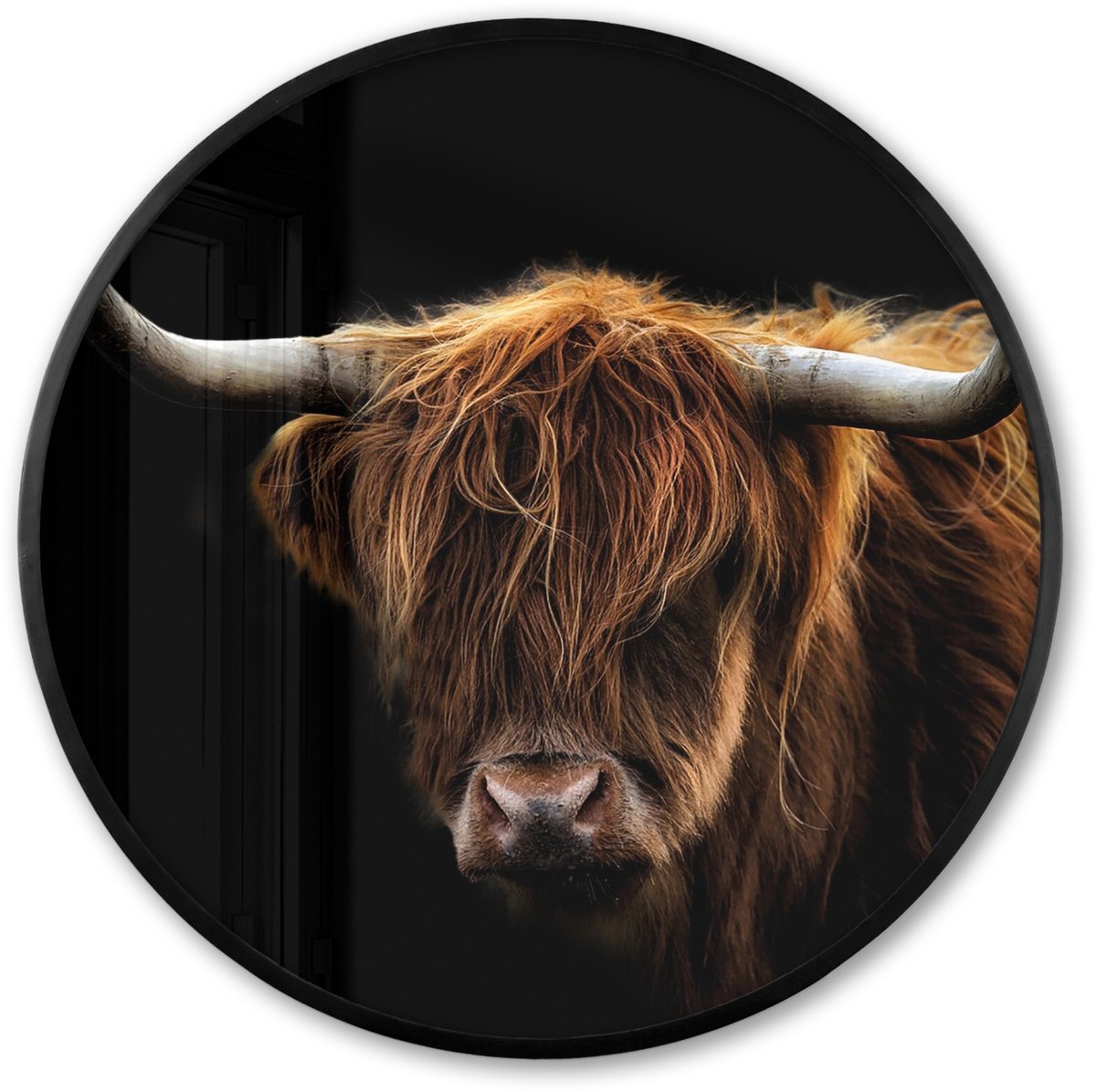 FrameYourWall Poster in lijst Rond - Fotolijst 80x80 cm - Posters - Schotse Hooglander - Horens - Zwart - Dieren - Natuur - Wild - Koe - Ronde posterlijst zwart - Decoratie - Wanddecoratie woonkamer - Muurdecoratie slaapkamer