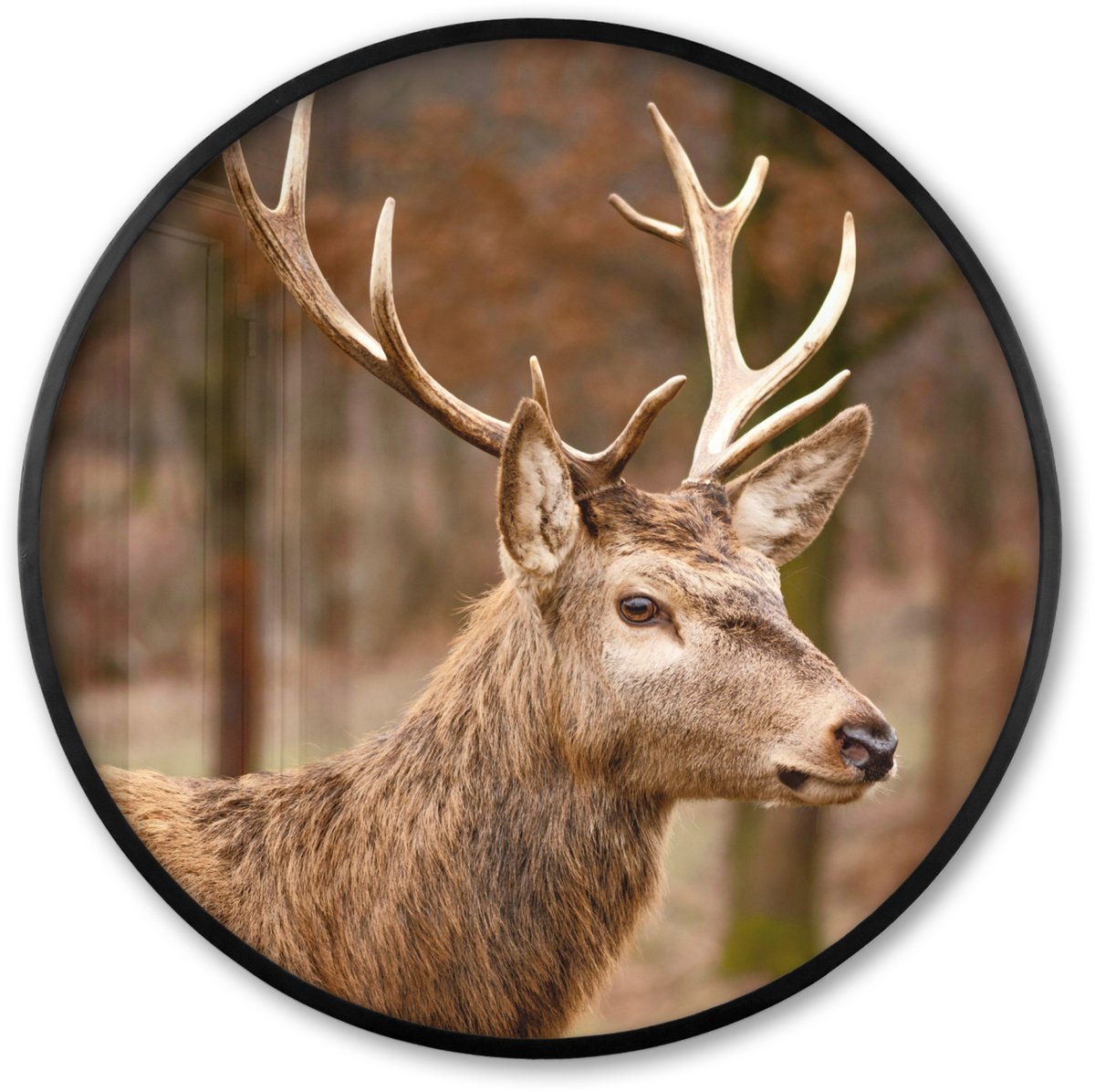 FrameYourWall Poster in lijst Rond - Fotolijst 60x60 cm - Posters - Hert - Dier - Bos - Herfst - Hertenkop - Bruin - Natuur - Ronde posterlijst zwart - Decoratie - Wanddecoratie woonkamer - Muurdecoratie slaapkamer