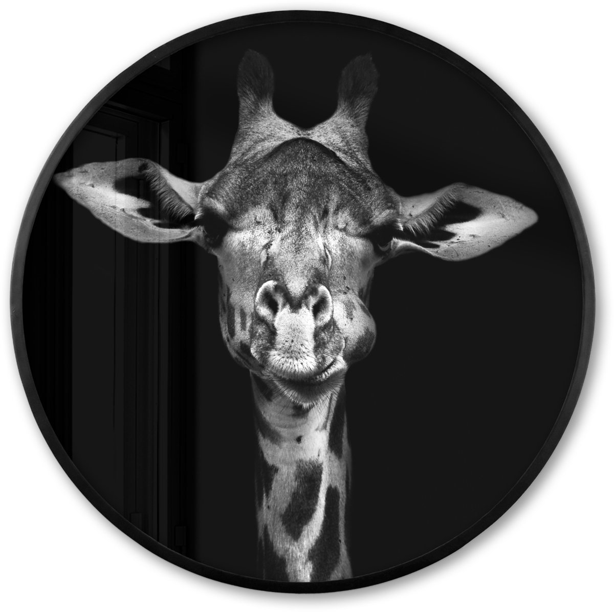 FrameYourWall Poster in lijst Rond - Fotolijst 80x80 cm - Posters - Giraffe - Portret - Dieren - Zwart - Wit - Ronde posterlijst zwart - Decoratie - Wanddecoratie woonkamer - Muurdecoratie slaapkamer