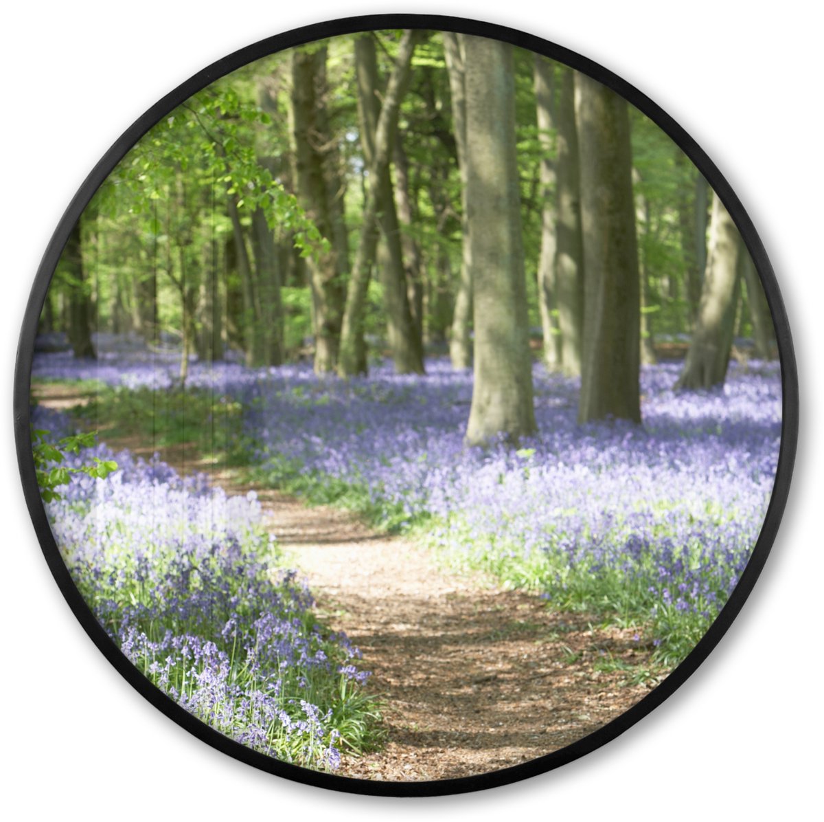 FrameYourWall Poster in lijst Rond - Fotolijst 60x60 cm - Posters - Bos - Pad - Bloemen - Paars - Groen - Natuur - Ronde posterlijst zwart - Decoratie - Wanddecoratie woonkamer - Muurdecoratie slaapkamer