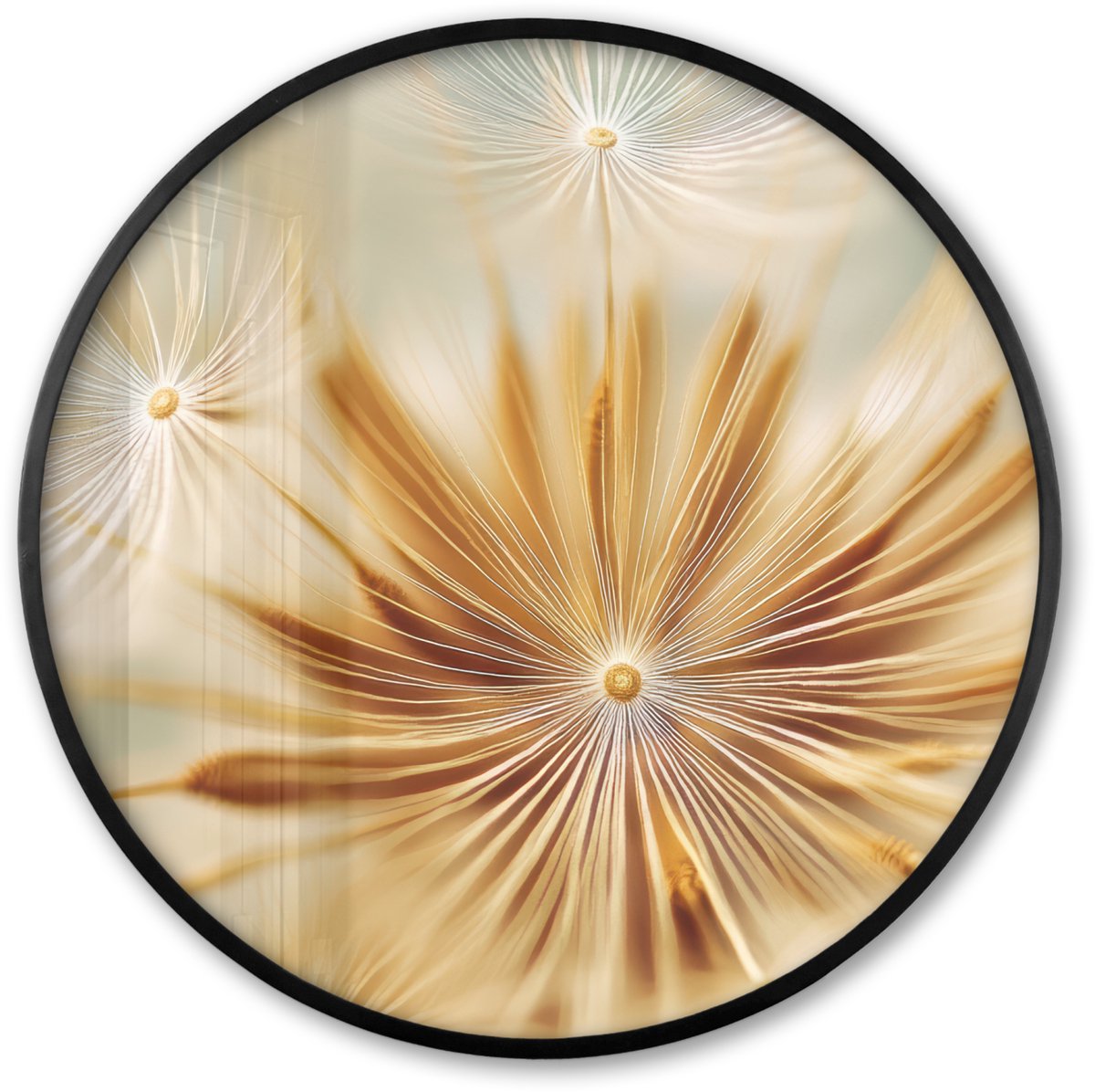 FrameYourWall Poster in lijst Rond - Fotolijst 60x60 cm - Posters - Paardenbloem - Beige - Abstract - Modern - Natuur - Ronde posterlijst zwart - Decoratie - Wanddecoratie woonkamer - Muurdecoratie slaapkamer Paardenbloem - Abstract