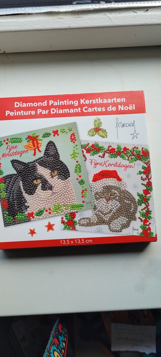 2 kerstkaarten- Franciens katten 13.5x13.5 cm zwart grijs witte katten katten