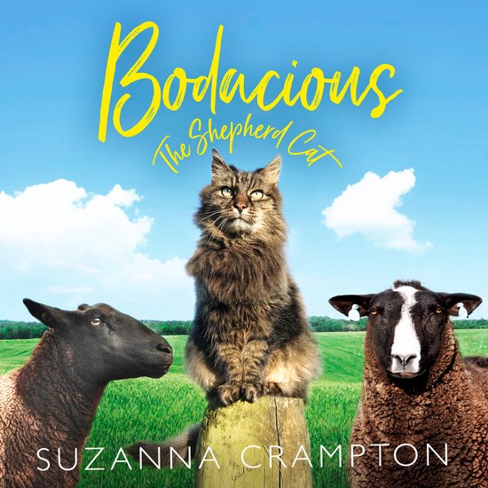 Bodacious: The Shepherd Cat - cover