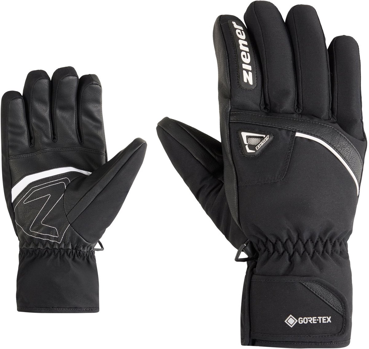 Skihandschoenen Zwart
