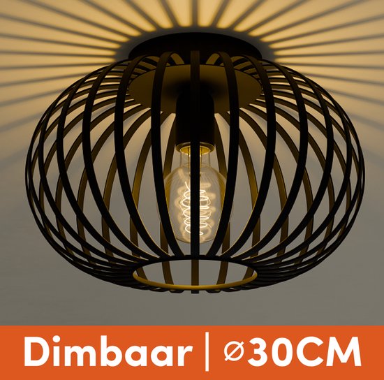 Nolt Plafondlamp Zwart - Plafonniere E27 Lamp - Industrieel - ⌀ 30cm
