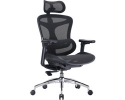 SIHOO Doro C300 Chaise de bureau ergonomique - Soutien lombaire dynamique - Dossier réglable - Chaise de jeu - Zwart