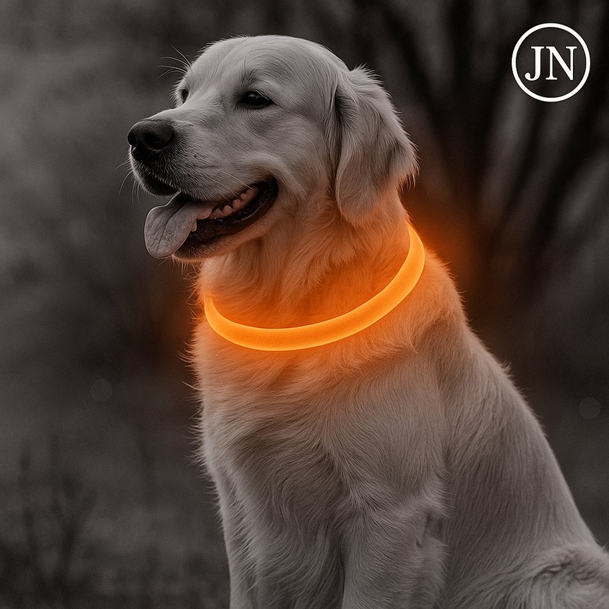 LED Halsband Hond – USB Oplaadbaar – 50 cm – Oranje – Lichtgevend – Veilig in het Donker – Verstelbaar