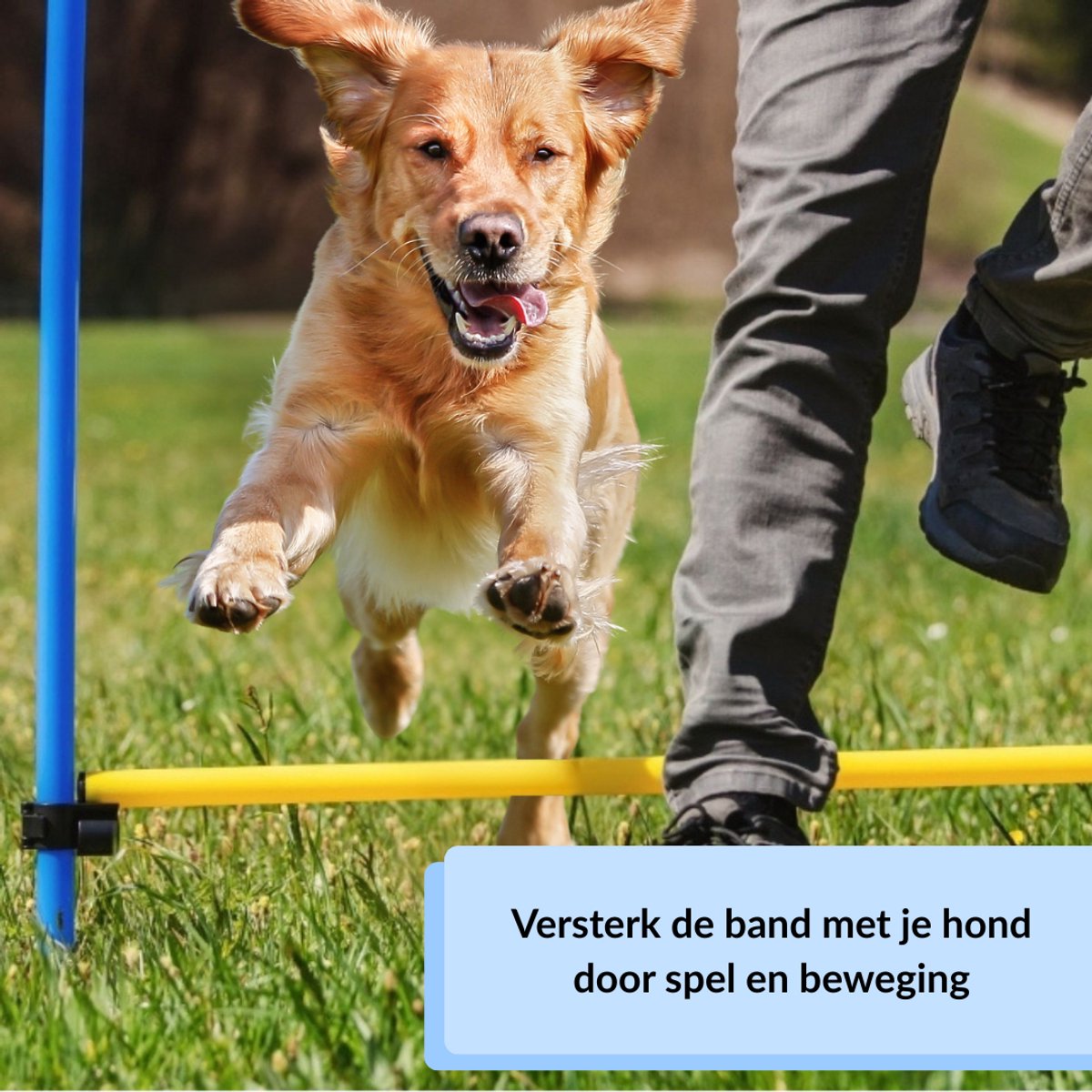 Behendigheid - agility voor de hond - agility set- hondentunnel 300 cm- slalom set
