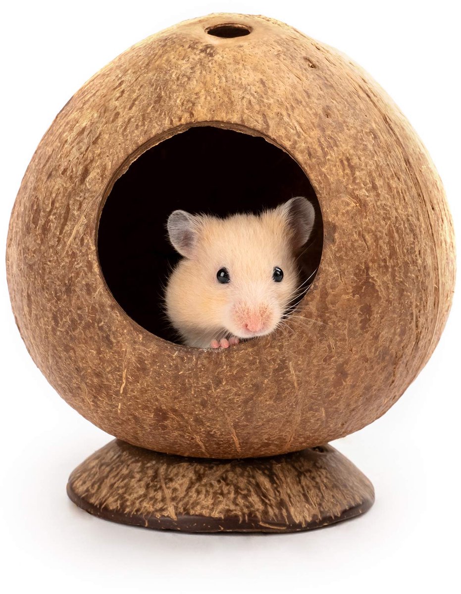 Kokosnoothut, hamsterhuisbed, geschikt voor decoratie van de kooi van kleine dieren, zoals gerbils en muizen.