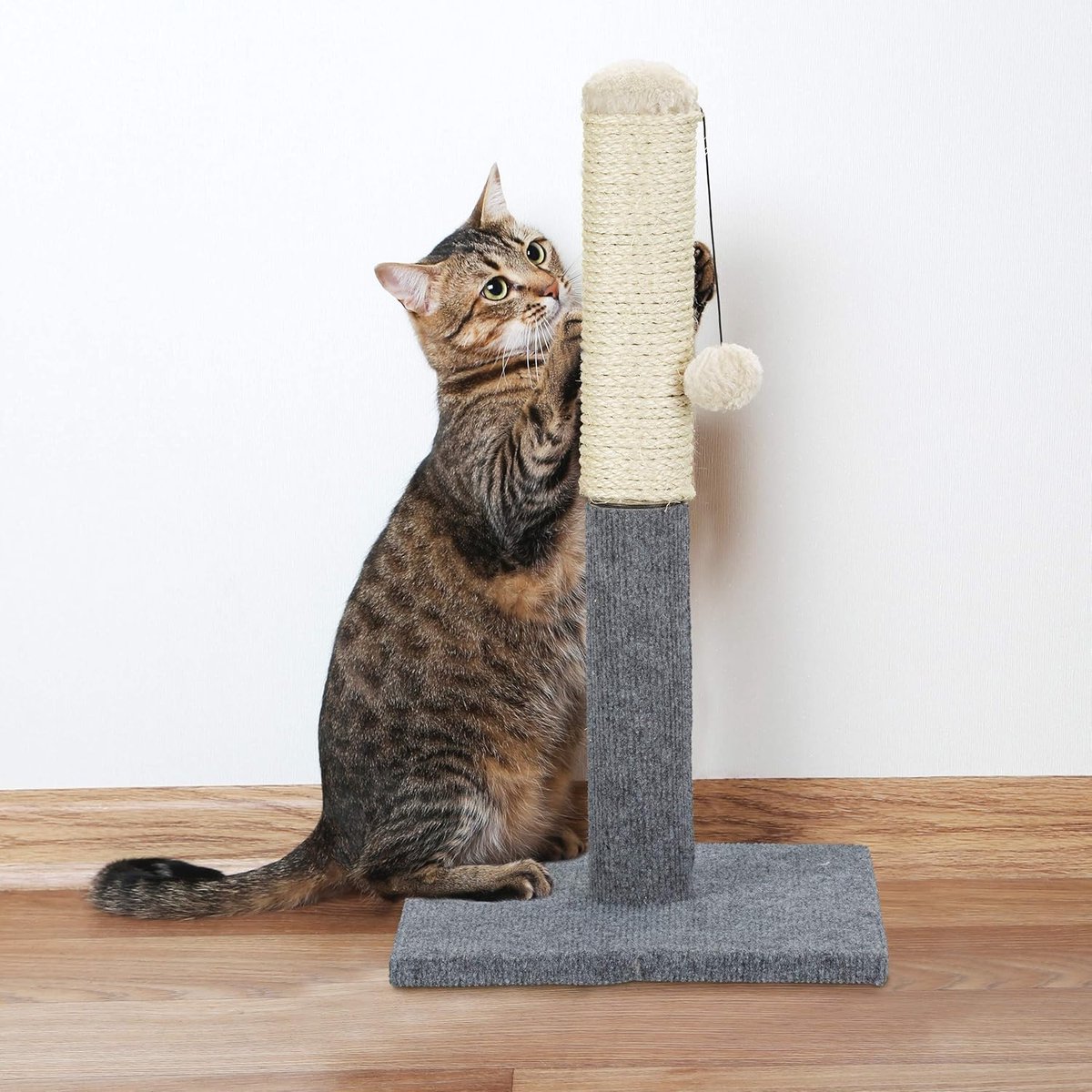 Krabton: Arquiel Grote Kattenkrabpaal - Interactieve Bal Speelgoed Sisal Touw Krabpaal 65 Cm Hoogte Krabpaal