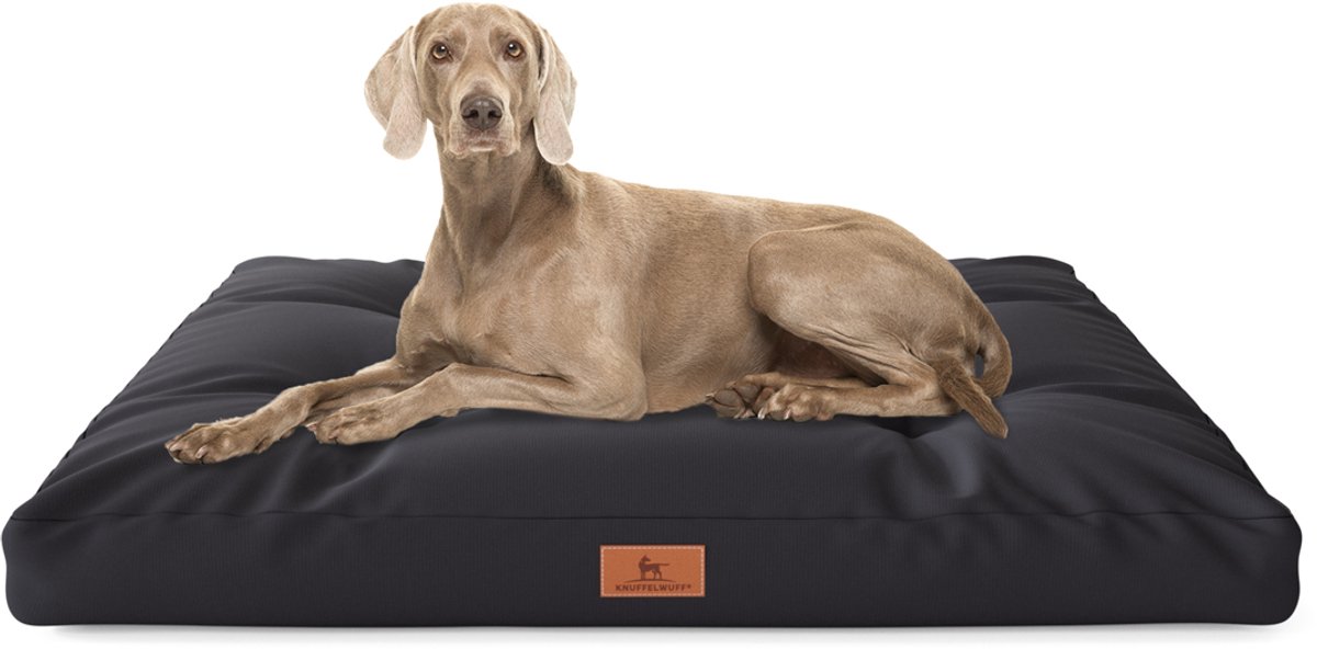Knuffelwuff hondenkussen Gatsby van Oxford-stof 65x90 cm zwart