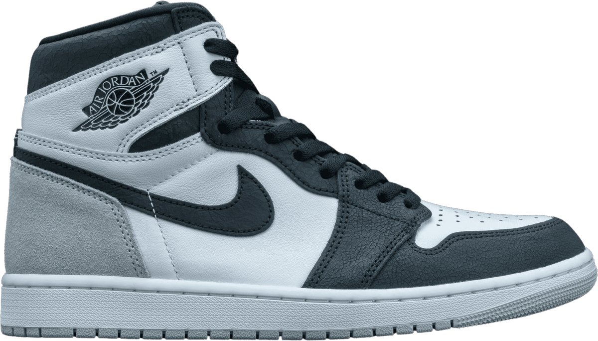 Air Jordan 1 Retro High OG Stage Haze Multikleur