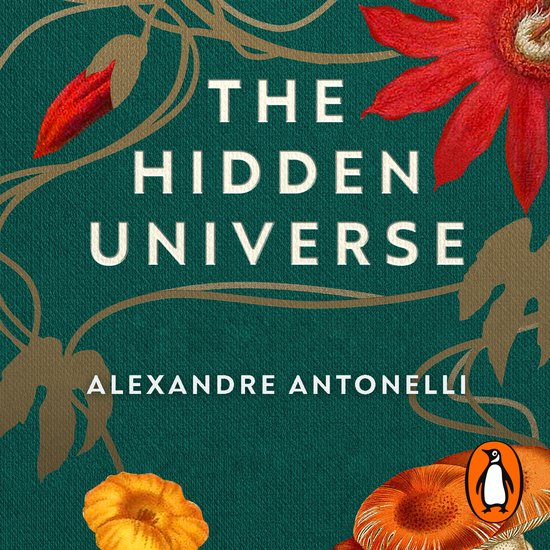 The Hidden Universe - cover