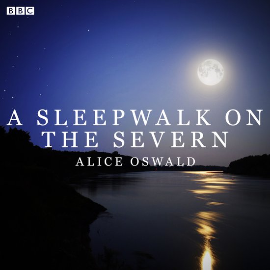 A Sleepwalk On The Severn - cover