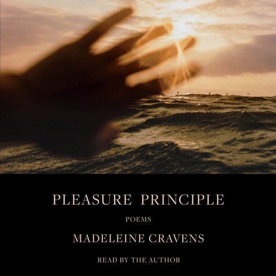 Pleasure Principle - cover
