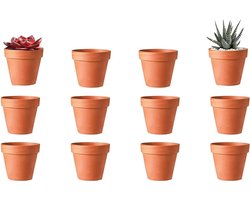 Mini Terracotta Bloempot met Afvoergat - 10 Stuks voor Binnen en Buiten