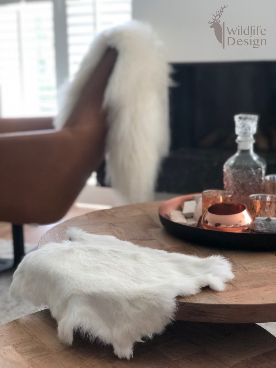 SET VAN 5 witte konijnenvachtjes - 5 vachtjes konijnenvel wit - velletje tafel salontafel huidje dienblad
