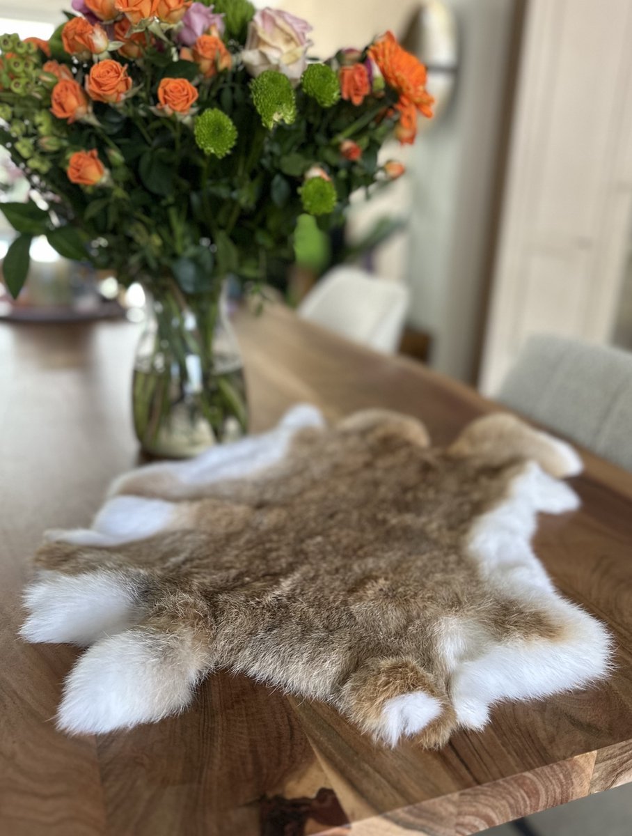 SET VAN 3 XL beige konijnenvacht - 3 XL konijnenvelenl lichtbruin - grote bruine velletjes tafel - dierenvel dierenhuid salontafel - decoratie vachtje