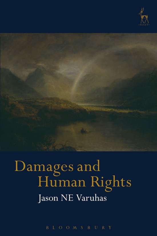 Damages and Human Rights - cover