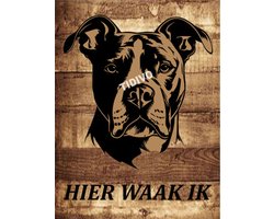 American Staffordshire Terrier 20