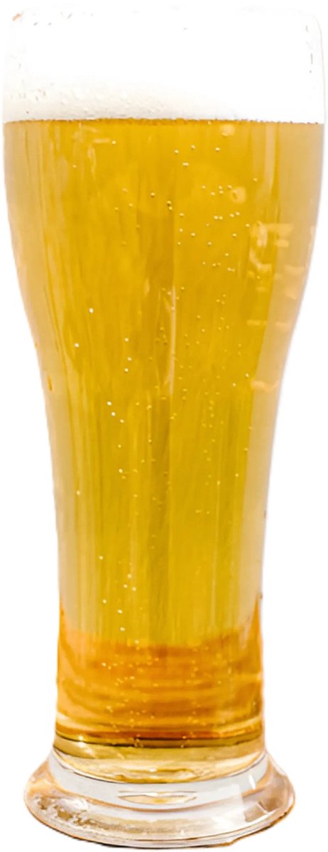 MPDrink Bierglas - SAN kunststof - 25 cl - onbreekbaar - herbruikbaar - bierglazen